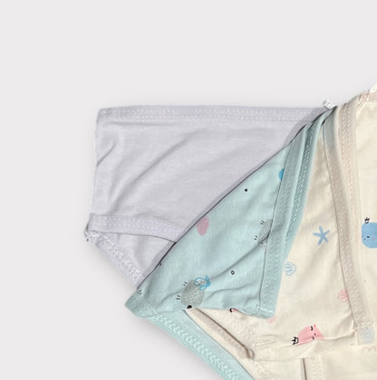 Braguita (pack de 3 unidades)talla 2A/12A