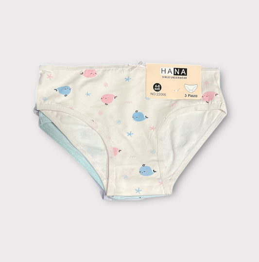 Braguita (pack de 3 unidades)talla 2A/12A